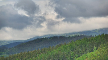 Ski areál U Sachovy studánky