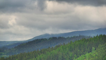 Ski areál U Sachovy studánky