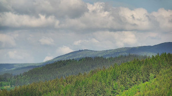 Ski areál U Sachovy studánky