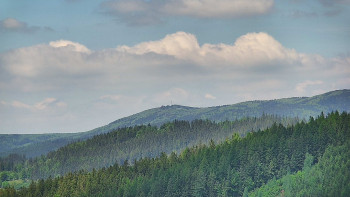 Ski areál U Sachovy studánky