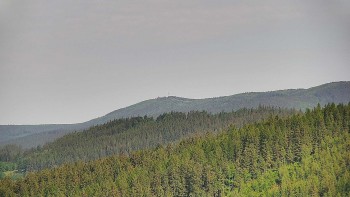 Ski areál U Sachovy studánky