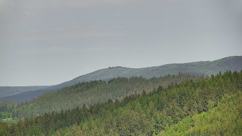 Ski areál U Sachovy studánky