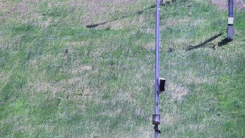 Ski areál U Sachovy studánky