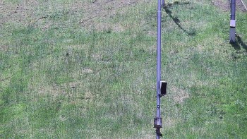 Ski areál U Sachovy studánky