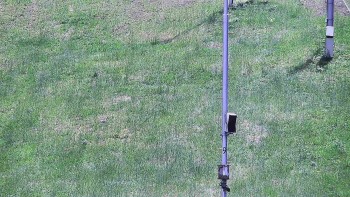 Ski areál U Sachovy studánky