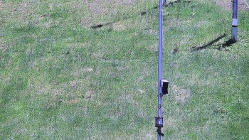 Ski areál U Sachovy studánky