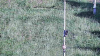 Ski areál U Sachovy studánky