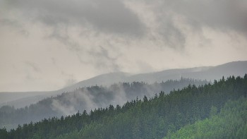 Ski areál U Sachovy studánky