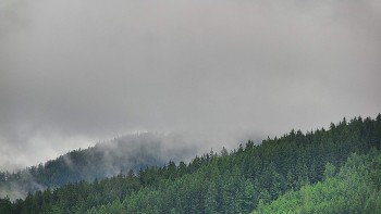 Ski areál U Sachovy studánky