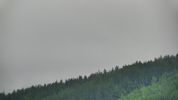 Ski areál U Sachovy studánky