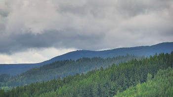 Ski areál U Sachovy studánky