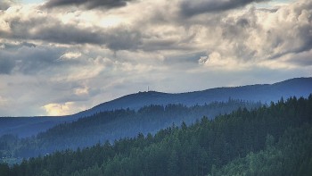 Ski areál U Sachovy studánky