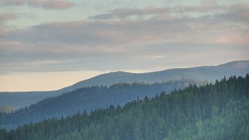 Ski areál U Sachovy studánky