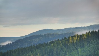 Ski areál U Sachovy studánky