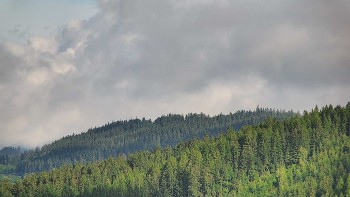 Ski areál U Sachovy studánky