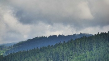 Ski areál U Sachovy studánky