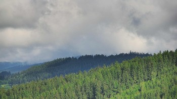 Ski areál U Sachovy studánky