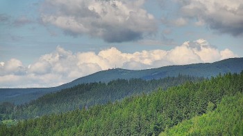 Ski areál U Sachovy studánky
