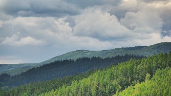 Ski areál U Sachovy studánky