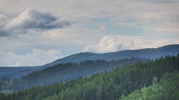 Ski areál U Sachovy studánky