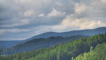 Ski areál U Sachovy studánky