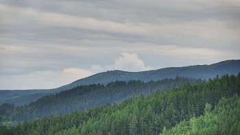 Ski areál U Sachovy studánky