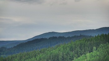 Ski areál U Sachovy studánky