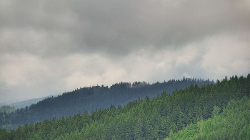Ski areál U Sachovy studánky