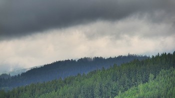 Ski areál U Sachovy studánky