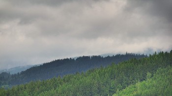 Ski areál U Sachovy studánky