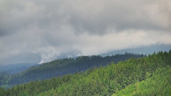 Ski areál U Sachovy studánky