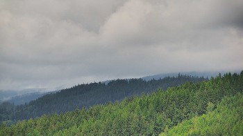 Ski areál U Sachovy studánky