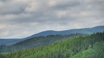 Ski areál U Sachovy studánky