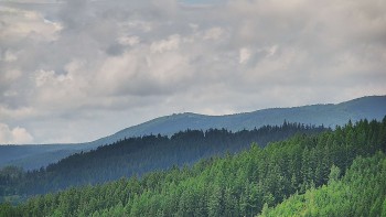 Ski areál U Sachovy studánky