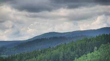 Ski areál U Sachovy studánky
