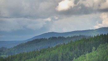 Ski areál U Sachovy studánky