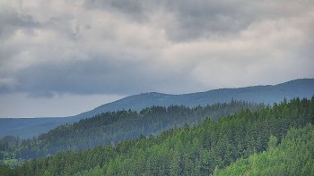 Ski areál U Sachovy studánky