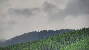 Ski areál U Sachovy studánky