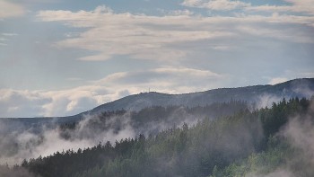Ski areál U Sachovy studánky