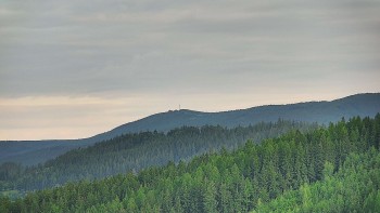 Ski areál U Sachovy studánky