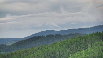 Ski areál U Sachovy studánky