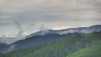 Ski areál U Sachovy studánky