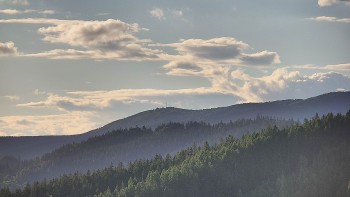 Ski areál U Sachovy studánky