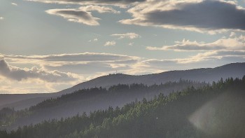 Ski areál U Sachovy studánky