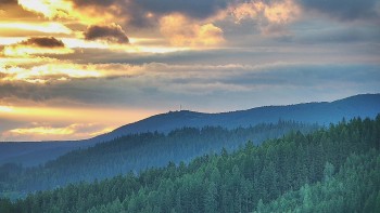 Ski areál U Sachovy studánky