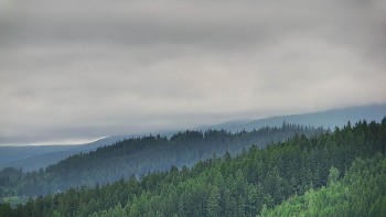 Ski areál U Sachovy studánky