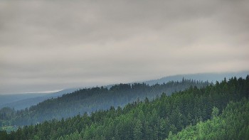 Ski areál U Sachovy studánky