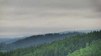 Ski areál U Sachovy studánky