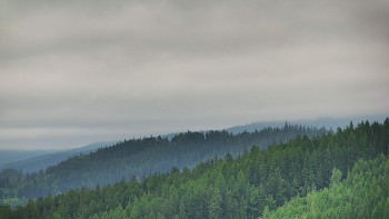 Ski areál U Sachovy studánky