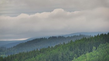 Ski areál U Sachovy studánky